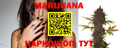 трава Новозыбков