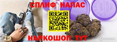 твердый Новокубанск