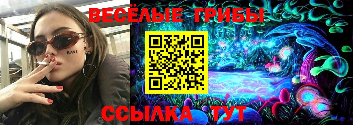 где найти наркотики  Псилоцибиновые грибы Psilocybine cubensis  Вход с VPN  Томск  Псилоцибиновые грибы прущие грибы 