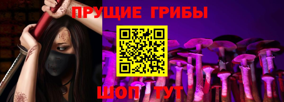 Псилоцибиновые грибы прущие грибы Томск